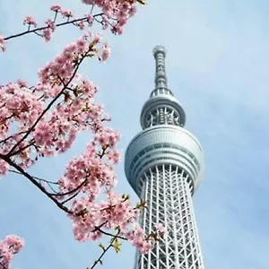 Nihonbashi Muromachi Bay ** Tokio